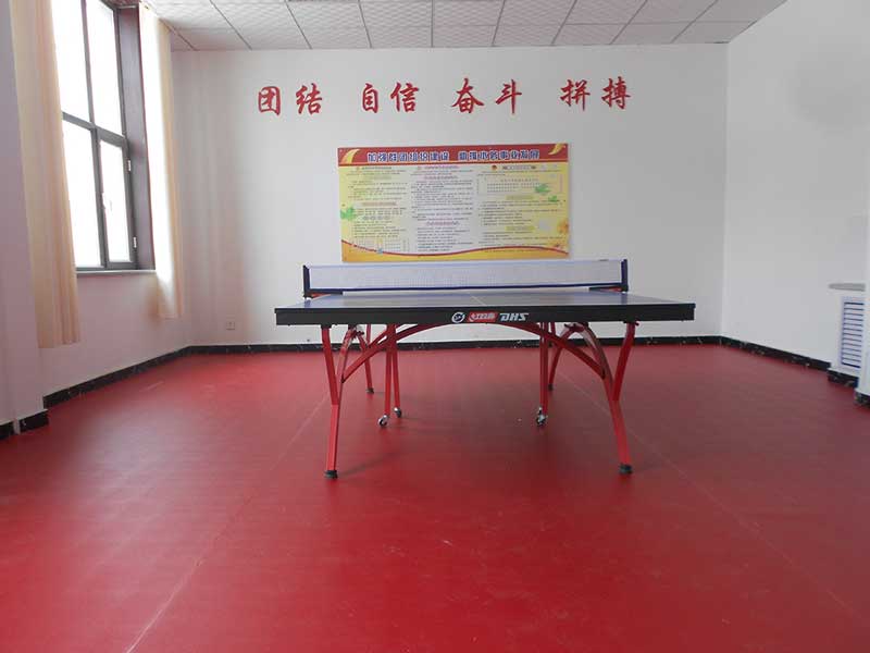 乒乓球場地使用塑膠乒乓球運(yùn)動(dòng)地板是趨勢