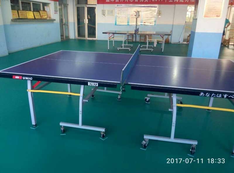 河南乒乓球運動地膠 河南洛陽市孟津縣體育總局乒乓球運動地膠